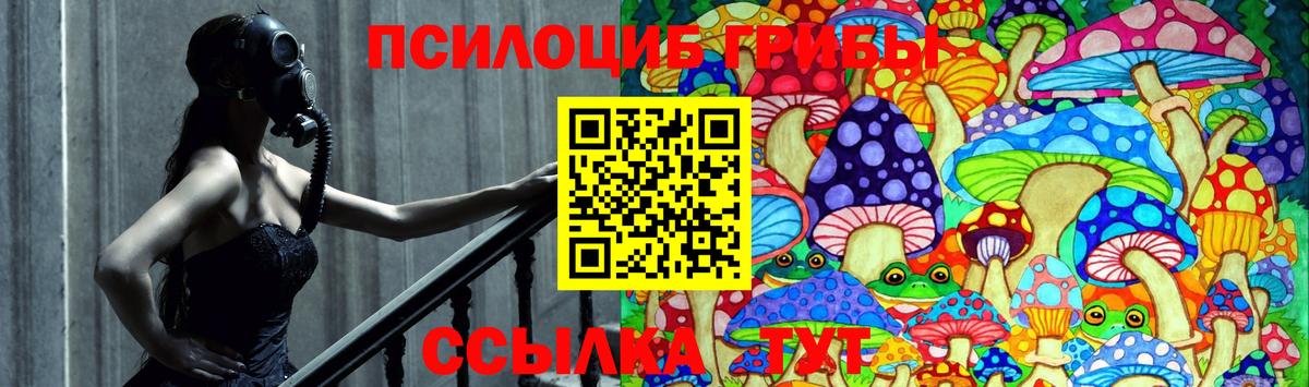Галлюциногенные грибы GOLDEN TEACHER  Псилоцибиновые грибы ЛСД  Петропавловск-Камчатский  Вход с VPN 